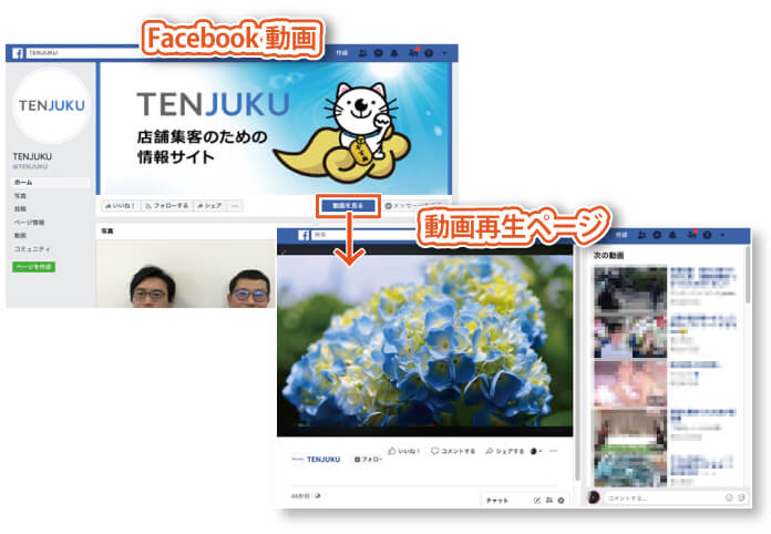 FacebookページのCTAボタンの種類7：動画を見る｜「Facebook動画」を設定後にボタンを選択した画面